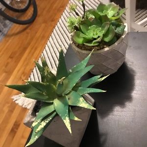 Two fake plants